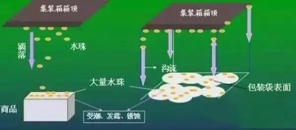 1531792107897625.jpg 微信圖片_20180717094812.jpg